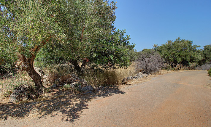 READY-TO-BUILD WITH VIEWS FROM THE UPPER FLOOR