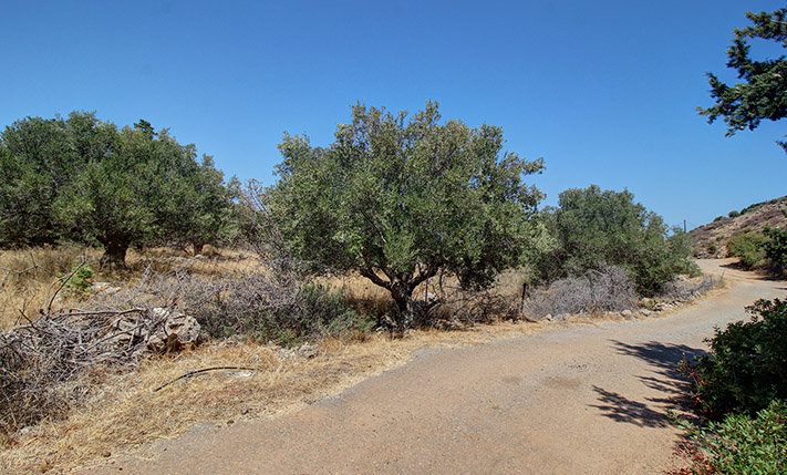 READY-TO-BUILD WITH VIEWS FROM THE UPPER FLOOR