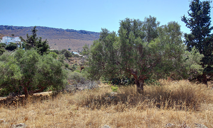 READY-TO-BUILD WITH VIEWS FROM THE UPPER FLOOR