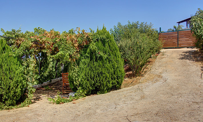 WITH A WELL & A VARIETY OF TREES NEAR CHANIA