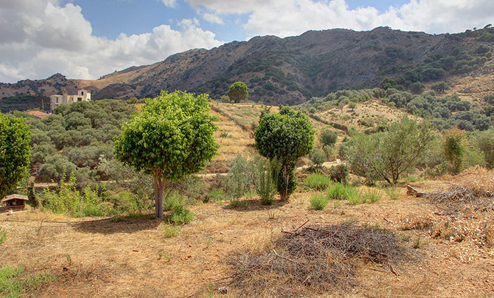 WITH A WELL & A VARIETY OF TREES NEAR CHANIA