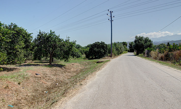 AN ORANGE GROVE CLOSE TO AGIA LAKE & PARK