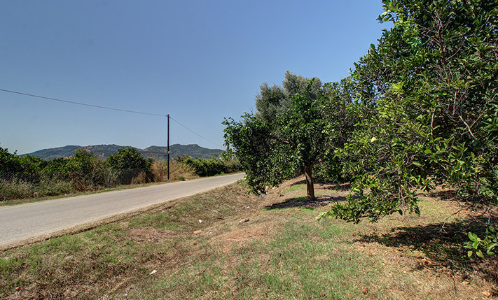 AN ORANGE GROVE CLOSE TO AGIA LAKE & PARK