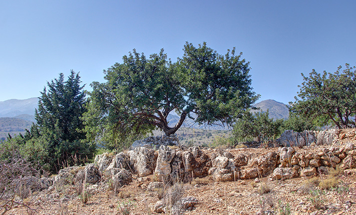 3 ΠΑΡΑΚΕΙΜΕΝΑ ΑΓΡΟΤΕΜΑΧΙΑ ΜΕ ΕΝΤΥΠΩΣΙΑΚΗ ΘΕΑ