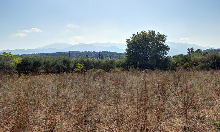 ΓΙΑ ΜΟΝΟΚΑΤΟΙΚΙΑ Η ΣΥΓΚΡΟΤΗΜΑ ΜΕΣΑ ΣΤΟΝ ΒΑΜΟ