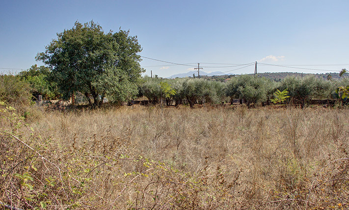 ΓΙΑ ΜΟΝΟΚΑΤΟΙΚΙΑ Η ΣΥΓΚΡΟΤΗΜΑ ΜΕΣΑ ΣΤΟΝ ΒΑΜΟ