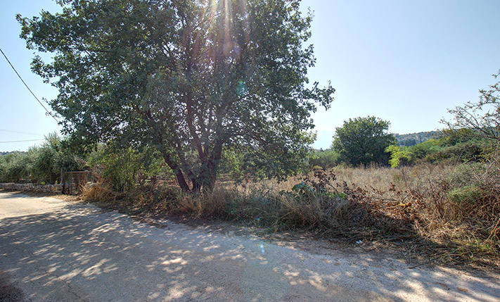 ΓΙΑ ΜΟΝΟΚΑΤΟΙΚΙΑ Η ΣΥΓΚΡΟΤΗΜΑ ΜΕΣΑ ΣΤΟΝ ΒΑΜΟ