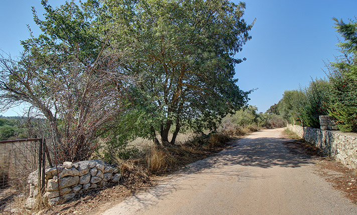ΓΙΑ ΜΟΝΟΚΑΤΟΙΚΙΑ Η ΣΥΓΚΡΟΤΗΜΑ ΜΕΣΑ ΣΤΟΝ ΒΑΜΟ