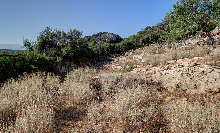 SUITABLE FOR A CONTRACTOR NEAR KOLIMBARI