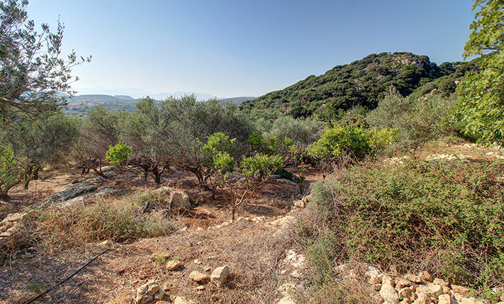 SUITABLE FOR A CONTRACTOR NEAR KOLIMBARI