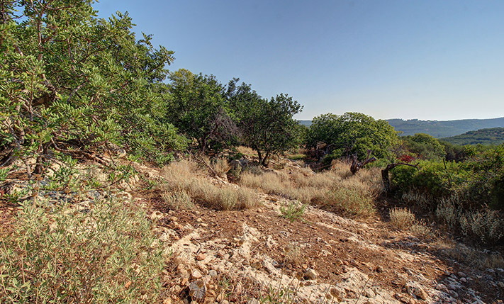 SUITABLE FOR A CONTRACTOR NEAR KOLIMBARI