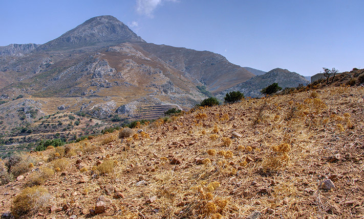 VIEWS OVER FALASARNA, AMIDST NATURE