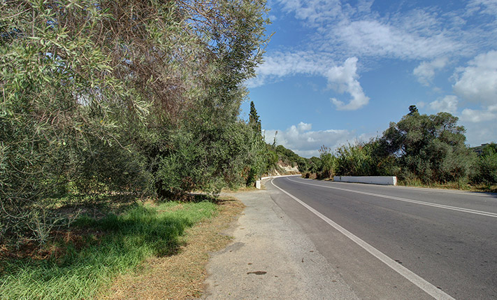 CORNER PLOT ON THE WAY TO PALAIOCHORA