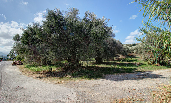 ΓΩΝΙΑΚΟ ΣΕ ΚΕΝΤΡΙΚΟ ΕΠΑΡΧΙΑΚΟ ΔΡΟΜΟ