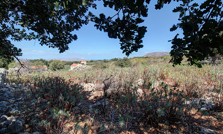 ΜΕΓΑΛΕΣ ΟΨΕΙΣ & ΕΝΤΥΠΩΣΙΑΚΑ ΣΤΟΙΧΕΙΑ