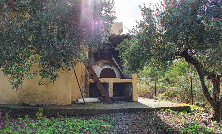 OLIVE GROVE WITH AN UNCONVERTED HOUSE