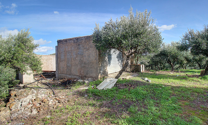 ΕΚΤΑΣΗ ΜΕ 2600 ΕΛΑΙΟΔΕΝΤΡΑ & ΠΑΛΑΙΑ ΚΑΤΟΙΚΙΑ