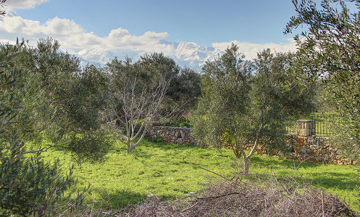 CORNER PLOT SURROUNDED BY STONE WALL