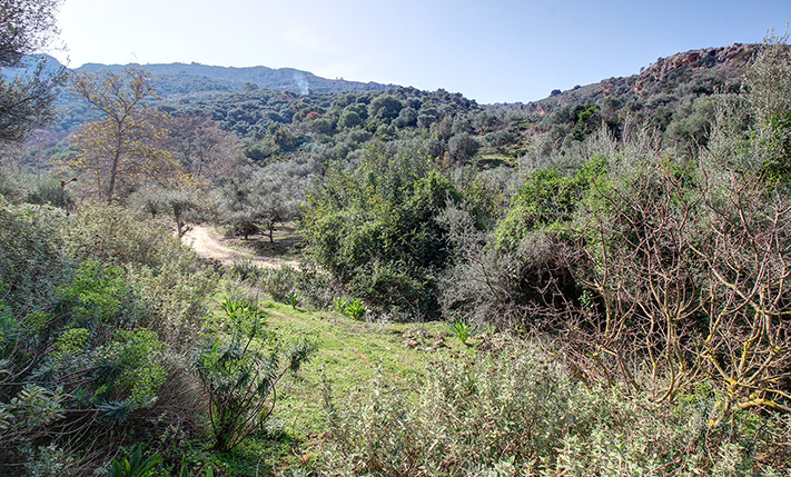 ΚΟΝΤΑ ΣΤΗΝ ΠΟΛΗ ΑΛΛΑ ΜΕΣΑ ΣΤΗ ΦΥΣΗ