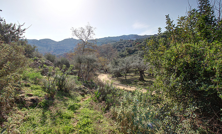 ΚΟΝΤΑ ΣΤΗΝ ΠΟΛΗ ΑΛΛΑ ΜΕΣΑ ΣΤΗ ΦΥΣΗ