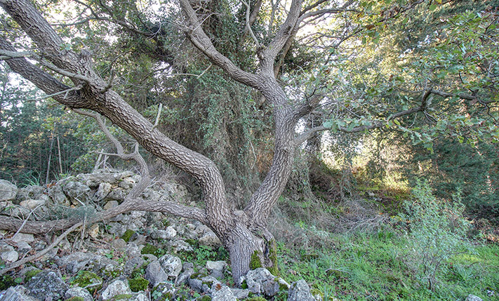 FLAT & BARE PLOT WITH MOUNTAIN VIEWS
