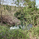 PLS1240 - image 11 PLS1240 - image 11