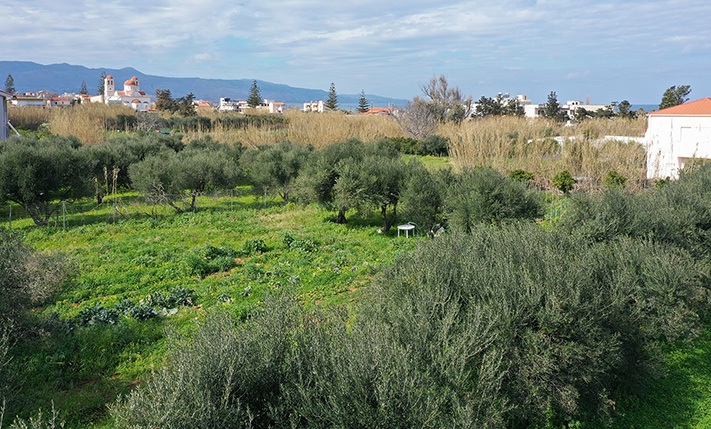 2 OPPOSITE PLOTS IN A TOWN PLAN