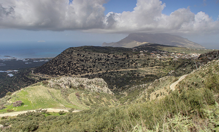AN OLIVE GROVE WITH VIEWS OVER FALASARNA