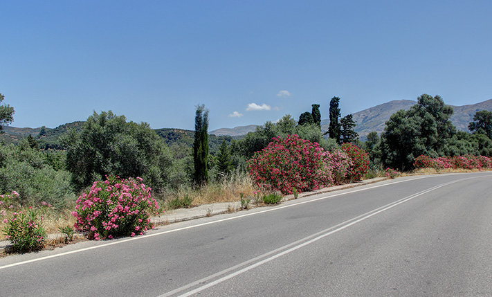 NEAR KANDANOS ON THE WAY TO PALAIOCHORA