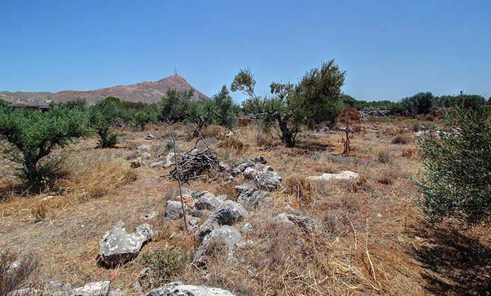 4 KM ΑΠΟ ΤΟ ΑΕΡΟΔΡΟΜΙΟ ΓΙΑ ΟΙΚΙΑ ΜΕΣΑ ΣΕ ΕΛΑΙΩΝΑ