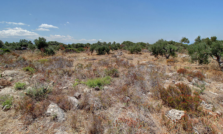 4 KM ΑΠΟ ΤΟ ΑΕΡΟΔΡΟΜΙΟ ΓΙΑ ΟΙΚΙΑ ΜΕΣΑ ΣΕ ΕΛΑΙΩΝΑ
