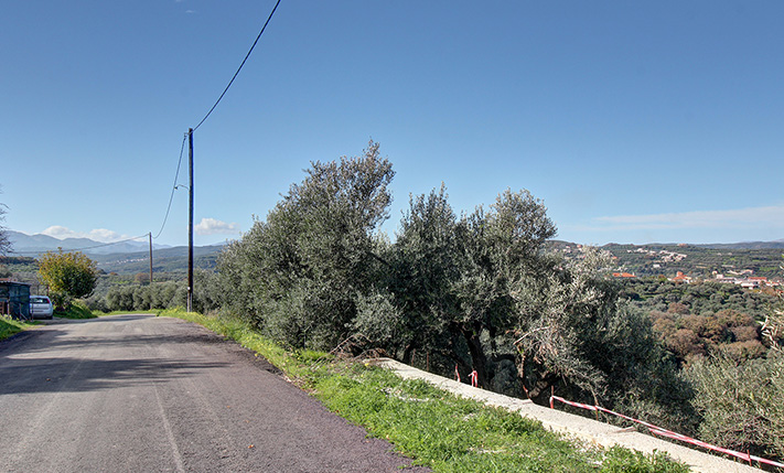 ΕΠΙΚΛΙΝΗΣ ΒΟΡΕΙΟΔΥΤΙΚΗ ΕΚΤΑΣΗ ΜΕ ΕΛΙΕΣ