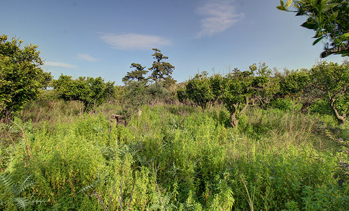 BUILD UP TO 4 VILLAS WITH IMPRESSIVE SEA VIEWS