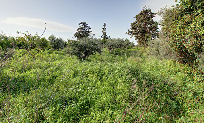 BUILD UP TO 4 VILLAS WITH IMPRESSIVE SEA VIEWS