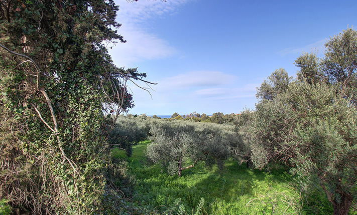 ΧΤΙΣΤΕ ΩΣ ΚΑΙ 4 ΒΙΛΕΣ ΜΕ ΑΝΕΜΠΟΔΙΣΤΗ ΘΕΑ