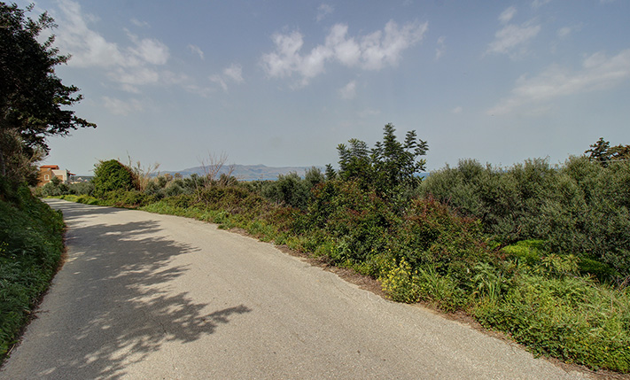 MIX OF TREES WITH SEA VIEWS & A BUILDING PERMIT
