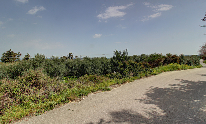 MIX OF TREES WITH SEA VIEWS & A BUILDING PERMIT
