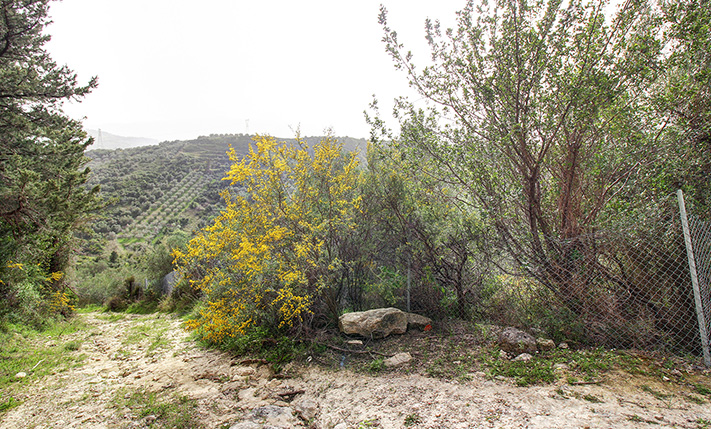 ΟΙΚΟΝΟΜΙΚΟ ΑΓΡΟΤΕΜΑΧΙΟ ΜΕ 8 ΕΛΑΙΟΔΕΝΤΡΑ