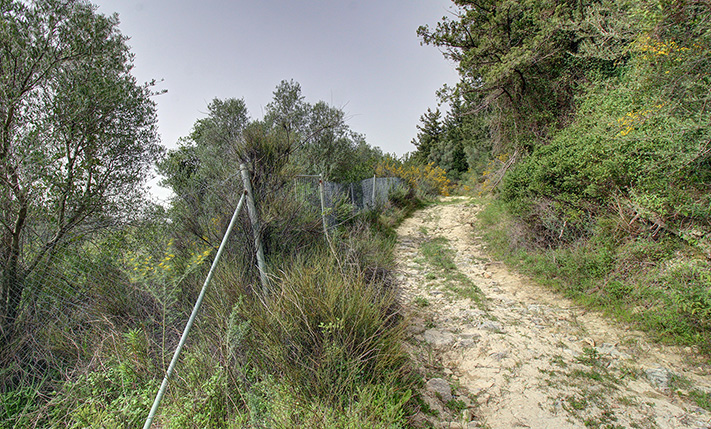 ΟΙΚΟΝΟΜΙΚΟ ΑΓΡΟΤΕΜΑΧΙΟ ΜΕ 8 ΕΛΑΙΟΔΕΝΤΡΑ