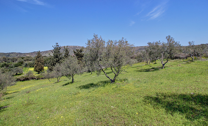 HIGH BUILDING RATIO FOR A RESIDENTIAL COMPLEX