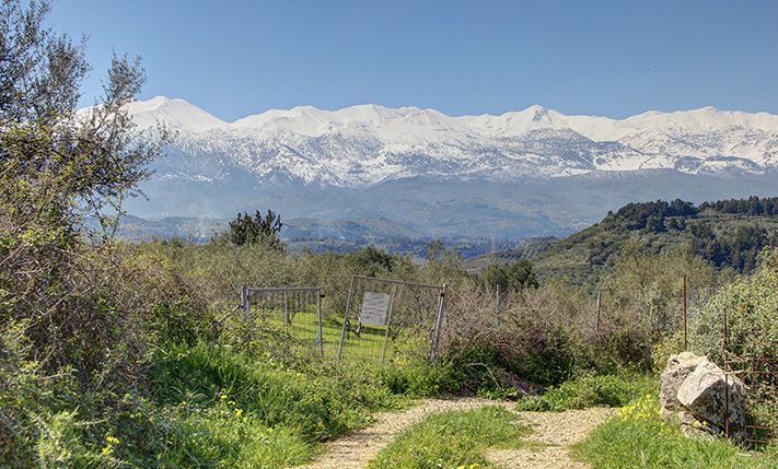 HIGH BUILDING RATIO FOR A RESIDENTIAL COMPLEX
