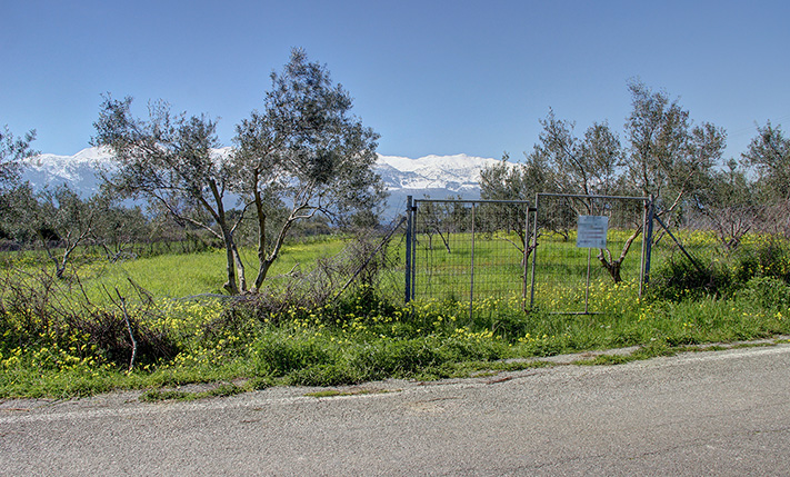 HIGH BUILDING RATIO FOR A RESIDENTIAL COMPLEX