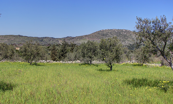 HIGH BUILDING RATIO FOR A RESIDENTIAL COMPLEX