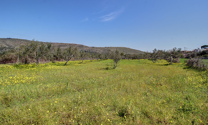 HIGH BUILDING RATIO FOR A RESIDENTIAL COMPLEX