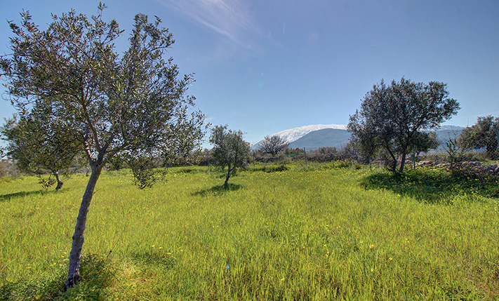 HIGH BUILDING RATIO FOR A RESIDENTIAL COMPLEX