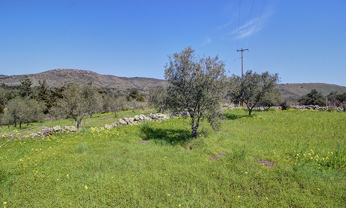 HIGH BUILDING RATIO FOR A RESIDENTIAL COMPLEX