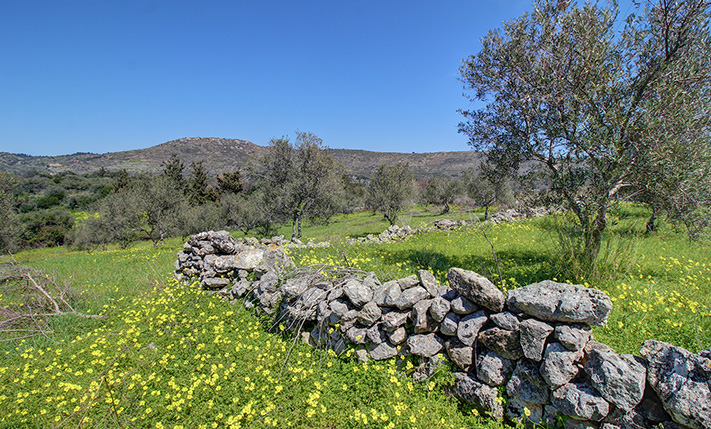 HIGH BUILDING RATIO FOR A RESIDENTIAL COMPLEX