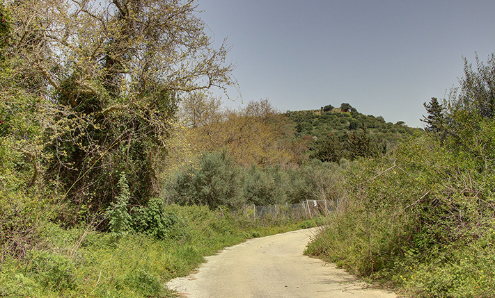 2 FENCED FARM PLOTS WITH OLIVE TREES