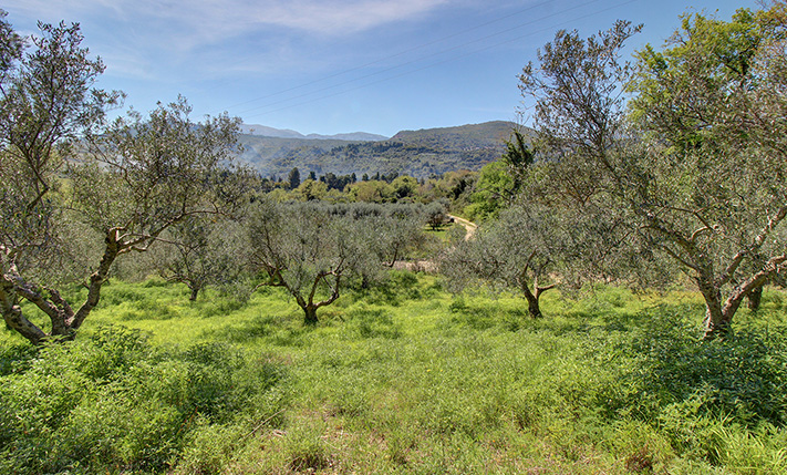 ΕΙΔΥΛΛΙΑΚΟ ΣΗΜΕΙΟ & ΑΠΟΛΥΤΗ ΑΡΜΟΝΙΑ ΣΤΗ ΦΥΣΗ
