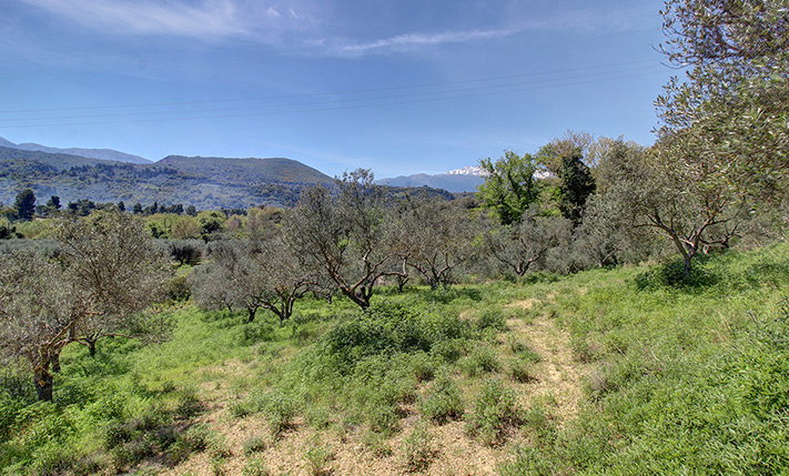 ΕΙΔΥΛΛΙΑΚΟ ΣΗΜΕΙΟ & ΑΠΟΛΥΤΗ ΑΡΜΟΝΙΑ ΣΤΗ ΦΥΣΗ